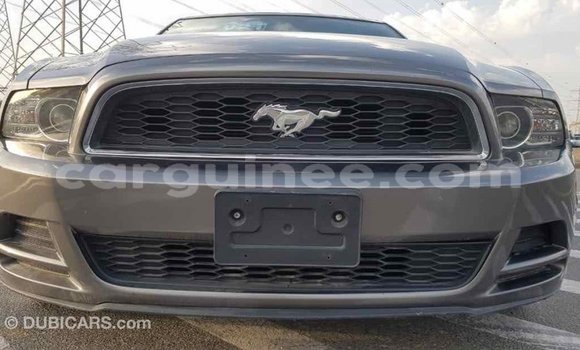 Acheter Import Voiture Ford Mustang Autre à Import - Dubai, Conakry Acheter Import Voiture Ford Mustang Autre à Import - Dubai, Conakry
