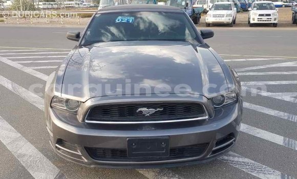 Acheter Import Voiture Ford Mustang Autre à Import - Dubai, Conakry Acheter Import Voiture Ford Mustang Autre à Import - Dubai, Conakry