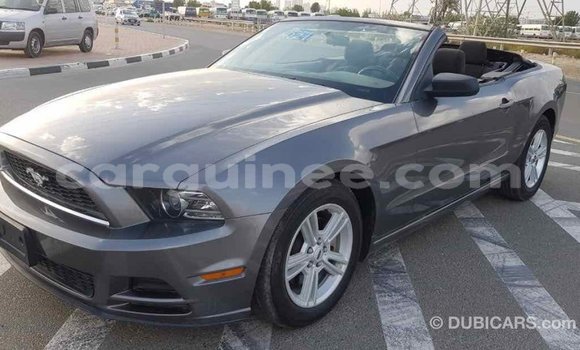 Acheter Import Voiture Ford Mustang Autre à Import - Dubai, Conakry Acheter Import Voiture Ford Mustang Autre à Import - Dubai, Conakry