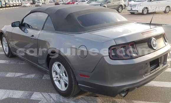 Acheter Import Voiture Ford Mustang Autre à Import - Dubai, Conakry Acheter Import Voiture Ford Mustang Autre à Import - Dubai, Conakry