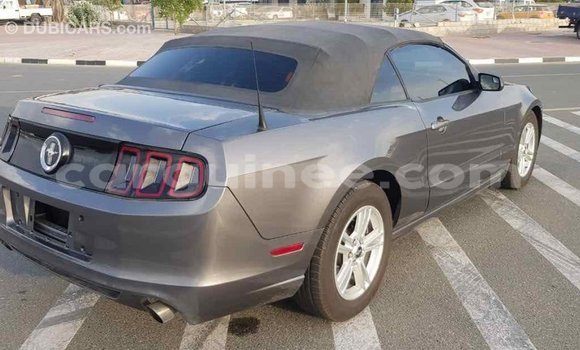 Acheter Import Voiture Ford Mustang Autre à Import - Dubai, Conakry Acheter Import Voiture Ford Mustang Autre à Import - Dubai, Conakry