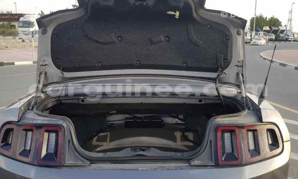 Acheter Import Voiture Ford Mustang Autre à Import - Dubai, Conakry Acheter Import Voiture Ford Mustang Autre à Import - Dubai, Conakry