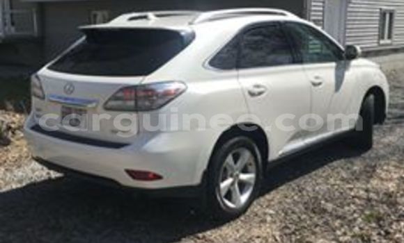 Buy Used Lexus RX 350 White Car in Conakry in Conakry Buy Used Lexus RX 350 White Car in Conakry in Conakry