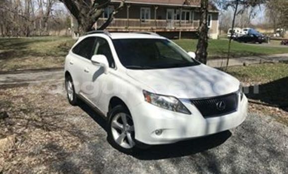 Buy Used Lexus RX 350 White Car in Conakry in Conakry Buy Used Lexus RX 350 White Car in Conakry in Conakry
