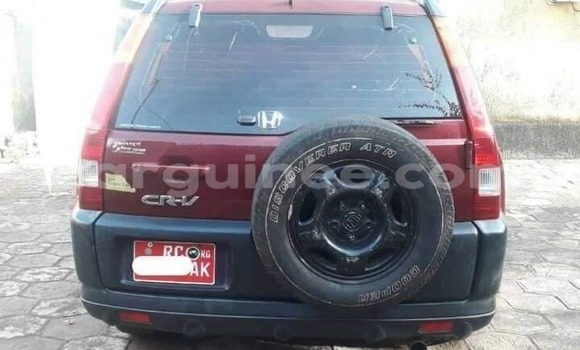 Buy Used Honda CR–V Red Car in Conakry in Conakry Buy Used Honda CR–V Red Car in Conakry in Conakry