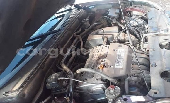 Buy Used Honda CR–V Red Car in Conakry in Conakry Buy Used Honda CR–V Red Car in Conakry in Conakry