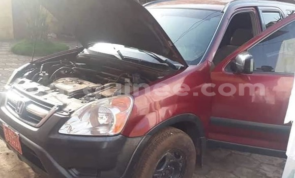 Buy Used Honda CR–V Red Car in Conakry in Conakry Buy Used Honda CR–V Red Car in Conakry in Conakry