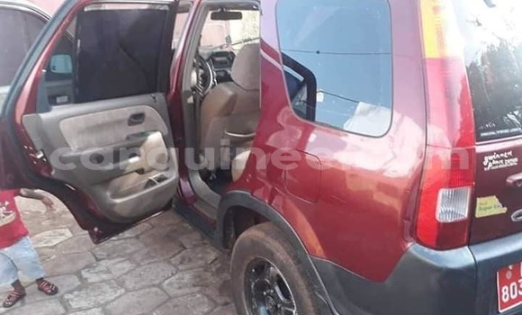 Buy Used Honda CR–V Red Car in Conakry in Conakry Buy Used Honda CR–V Red Car in Conakry in Conakry