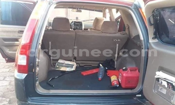Buy Used Honda CR–V Red Car in Conakry in Conakry Buy Used Honda CR–V Red Car in Conakry in Conakry