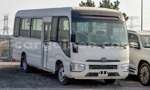 Buy Import Toyota Coaster White Car in Import - Dubai in Conakry Buy Import Toyota Coaster White Car in Import - Dubai in Conakry