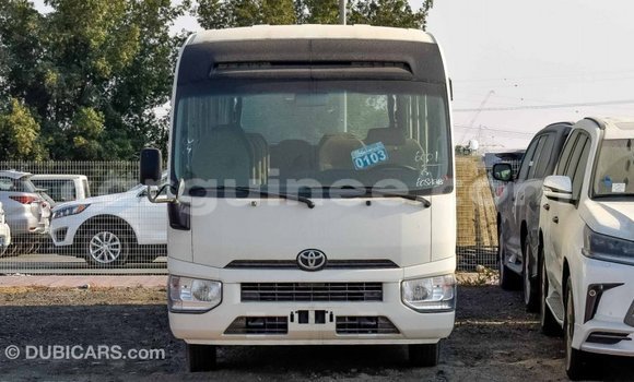 Buy Import Toyota Coaster White Car in Import - Dubai in Conakry Buy Import Toyota Coaster White Car in Import - Dubai in Conakry