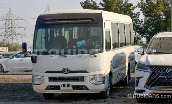 Buy Import Toyota Coaster White Car in Import - Dubai in Conakry Buy Import Toyota Coaster White Car in Import - Dubai in Conakry