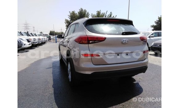 Buy Import Kia Sportage Black Car in Import - Dubai in Conakry Buy Import Kia Sportage Black Car in Import - Dubai in Conakry