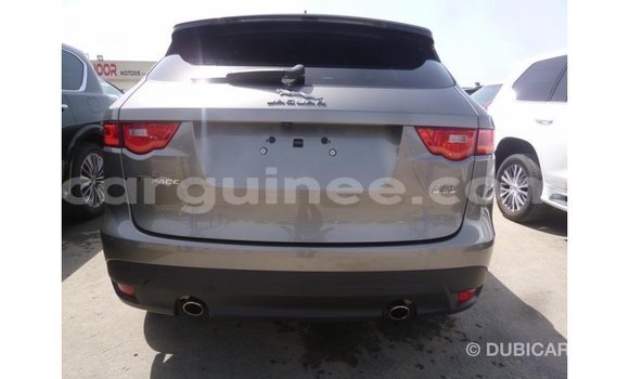Acheter Import Voiture Jaguar F-Pace Autre à Import - Dubai, Conakry Acheter Import Voiture Jaguar F-Pace Autre à Import - Dubai, Conakry