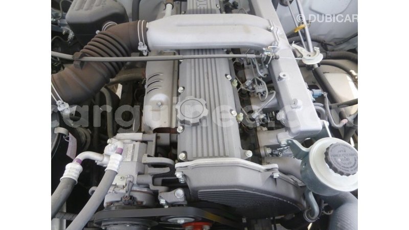 Big with watermark 4f345180 d4d9 47a2 bc04 f9604f44bb86