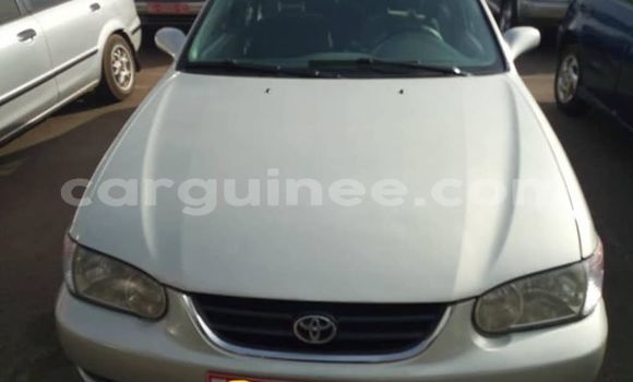 Acheter Occasion Voiture Toyota Corolla Gris à Conakry, Conakry Acheter Occasion Voiture Toyota Corolla Gris à Conakry, Conakry