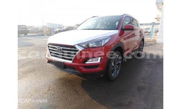 Buy Import Hyundai Tucson Red Car in Import - Dubai in Conakry Buy Import Hyundai Tucson Red Car in Import - Dubai in Conakry