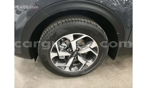 Acheter Import Voiture Kia Sportage Autre à Import - Dubai, Conakry Acheter Import Voiture Kia Sportage Autre à Import - Dubai, Conakry