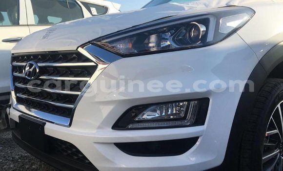 Buy Import Hyundai Tucson White Car in Import - Dubai in Conakry Buy Import Hyundai Tucson White Car in Import - Dubai in Conakry
