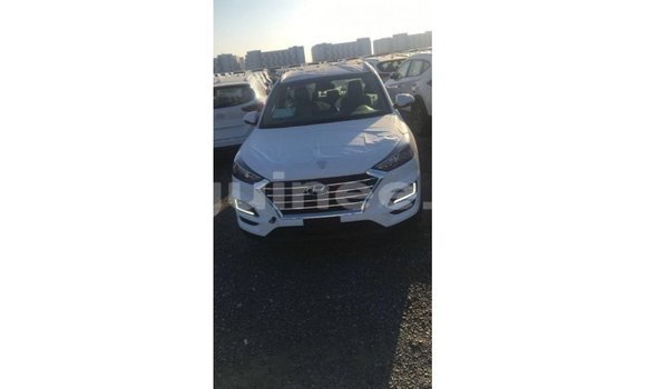 Buy Import Hyundai Tucson White Car in Import - Dubai in Conakry Buy Import Hyundai Tucson White Car in Import - Dubai in Conakry