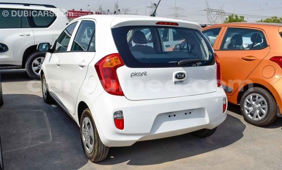 Buy Import Kia Picanto White Car in Import - Dubai in Conakry Buy Import Kia Picanto White Car in Import - Dubai in Conakry