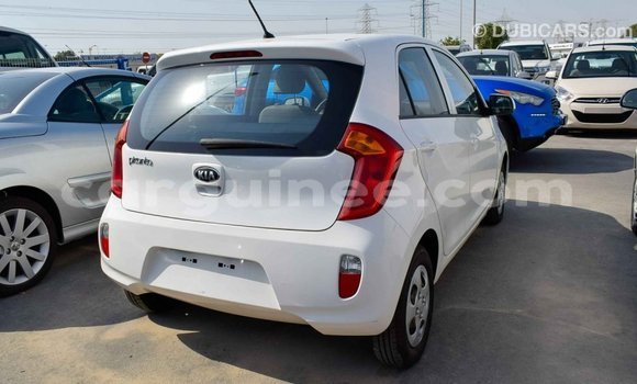 Buy Import Kia Picanto White Car in Import - Dubai in Conakry Buy Import Kia Picanto White Car in Import - Dubai in Conakry