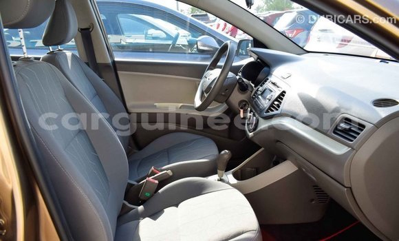 Buy Import Kia Picanto Brown Car in Import - Dubai in Conakry Buy Import Kia Picanto Brown Car in Import - Dubai in Conakry