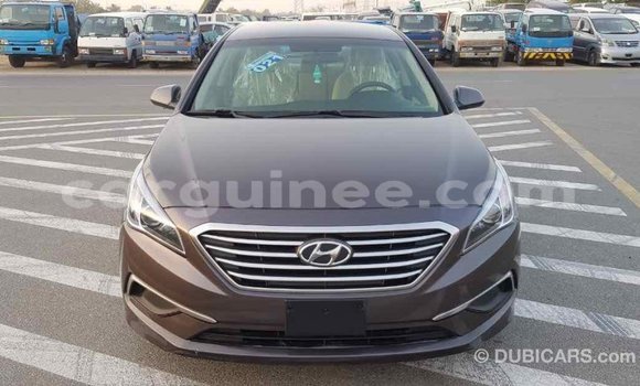 Acheter Import Voiture Hyundai Sonata Marron à Import - Dubai, Conakry Acheter Import Voiture Hyundai Sonata Marron à Import - Dubai, Conakry