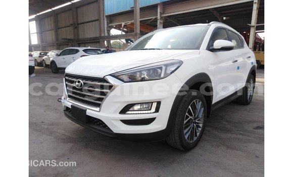 Buy Import Hyundai Tucson White Car in Import - Dubai in Conakry Buy Import Hyundai Tucson White Car in Import - Dubai in Conakry