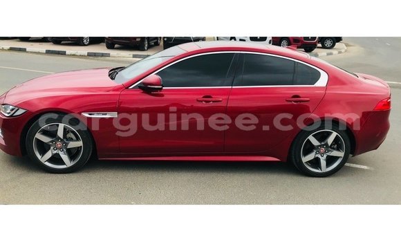 Acheter Import Voiture Jaguar XE Rouge à Import - Dubai, Conakry Acheter Import Voiture Jaguar XE Rouge à Import - Dubai, Conakry