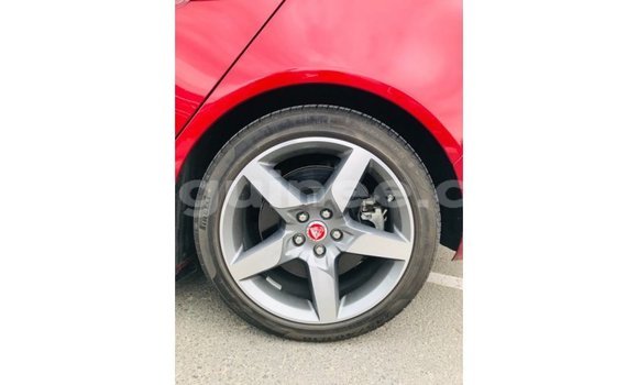 Acheter Import Voiture Jaguar XE Rouge à Import - Dubai, Conakry Acheter Import Voiture Jaguar XE Rouge à Import - Dubai, Conakry