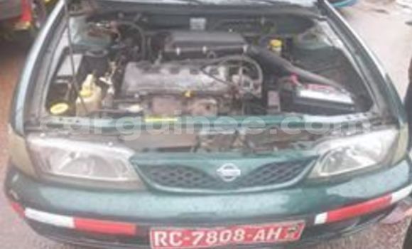 Buy Used Nissan Almera Green Car in Conakry in Conakry Buy Used Nissan Almera Green Car in Conakry in Conakry