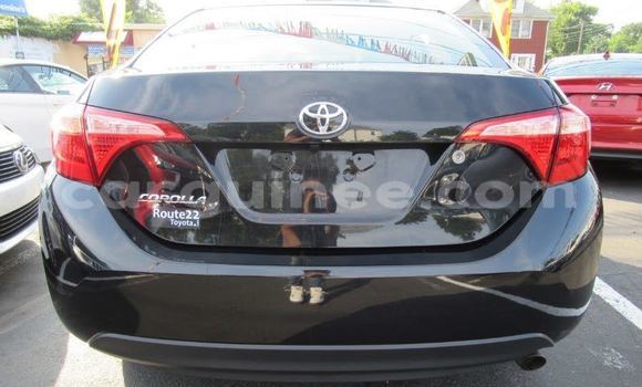 Buy Used Toyota Corolla Black Car in Conakry in Conakry Buy Used Toyota Corolla Black Car in Conakry in Conakry