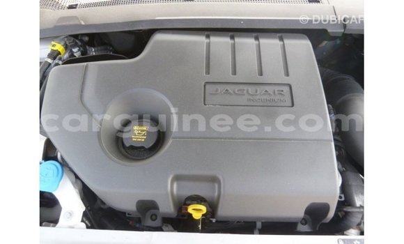 Buy Import Jaguar E-Pace White Car in Import - Dubai in Conakry Buy Import Jaguar E-Pace White Car in Import - Dubai in Conakry