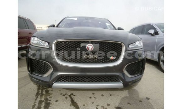 Buy Import Jaguar F-Type Black Car in Import - Dubai in Conakry Buy Import Jaguar F-Type Black Car in Import - Dubai in Conakry