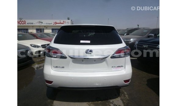 Buy Import Lexus RX White Car in Import - Dubai in Conakry Buy Import Lexus RX White Car in Import - Dubai in Conakry
