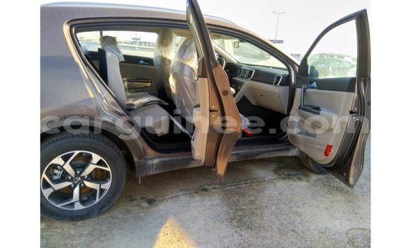 Buy Import Kia Sportage Brown Car in Import - Dubai in Conakry Buy Import Kia Sportage Brown Car in Import - Dubai in Conakry