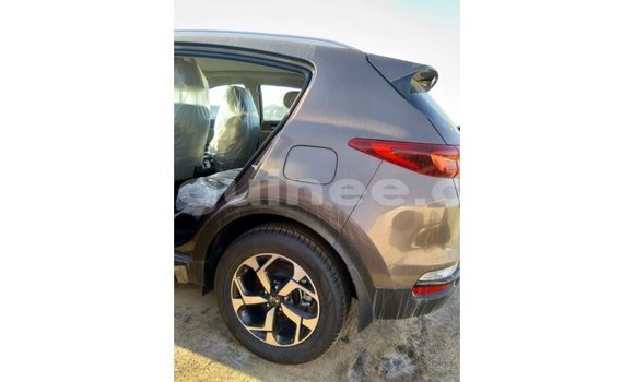 Buy Import Kia Sportage Brown Car in Import - Dubai in Conakry Buy Import Kia Sportage Brown Car in Import - Dubai in Conakry