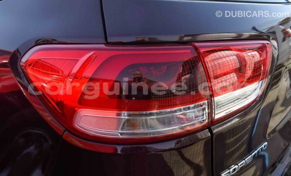 Buy Import Kia Sorento Brown Car in Import - Dubai in Conakry Buy Import Kia Sorento Brown Car in Import - Dubai in Conakry