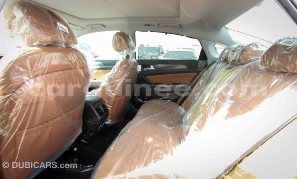 Buy Import Hyundai Sonata White Car in Import - Dubai in Conakry Buy Import Hyundai Sonata White Car in Import - Dubai in Conakry