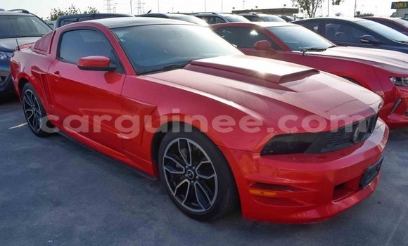 Buy Import Ford Mustang Red Car in Import - Dubai in Conakry Buy Import Ford Mustang Red Car in Import - Dubai in Conakry