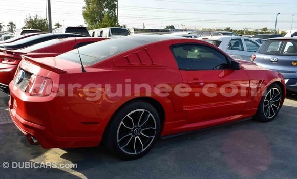 Buy Import Ford Mustang Red Car in Import - Dubai in Conakry Buy Import Ford Mustang Red Car in Import - Dubai in Conakry