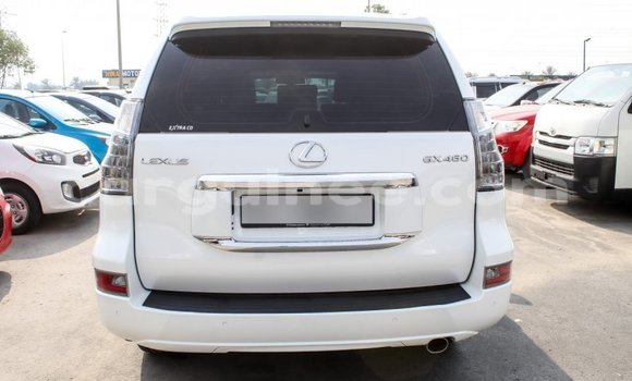Buy Import Lexus GX White Car in Import - Dubai in Conakry Buy Import Lexus GX White Car in Import - Dubai in Conakry
