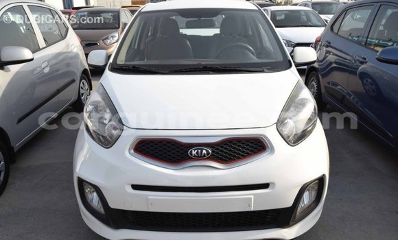 Buy Import Kia Picanto White Car in Import - Dubai in Conakry Buy Import Kia Picanto White Car in Import - Dubai in Conakry