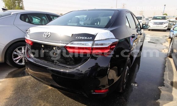 Buy Import Toyota Corolla Black Car in Import - Dubai in Conakry Buy Import Toyota Corolla Black Car in Import - Dubai in Conakry