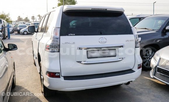 Buy Import Lexus GX White Car in Import - Dubai in Conakry Buy Import Lexus GX White Car in Import - Dubai in Conakry