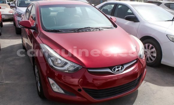 Buy Import Hyundai Elantra Red Car in Import - Dubai in Conakry Buy Import Hyundai Elantra Red Car in Import - Dubai in Conakry