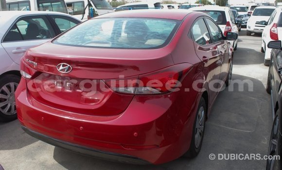 Buy Import Hyundai Elantra Red Car in Import - Dubai in Conakry Buy Import Hyundai Elantra Red Car in Import - Dubai in Conakry