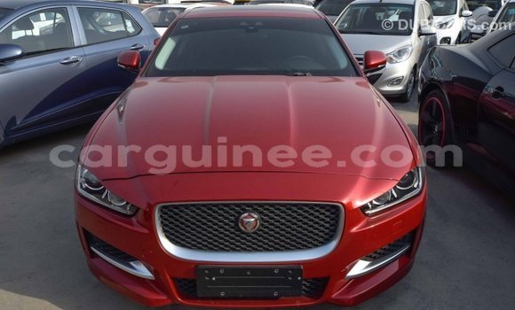 Buy Import Jaguar XE Red Car in Import - Dubai in Conakry Buy Import Jaguar XE Red Car in Import - Dubai in Conakry