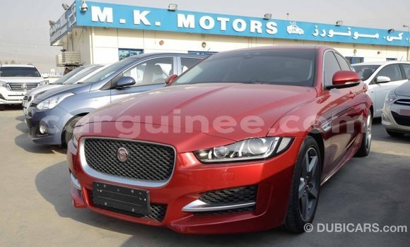 Buy Import Jaguar XE Red Car in Import - Dubai in Conakry Buy Import Jaguar XE Red Car in Import - Dubai in Conakry